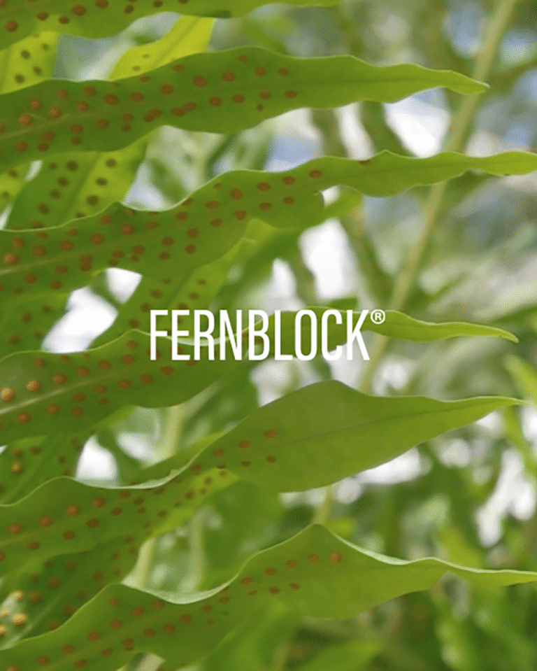 Kuva sosiaaliseen mediaan Heliocare Fernblock